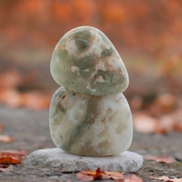 Tree Agate Tumble Balance Water Element (Set of 2)